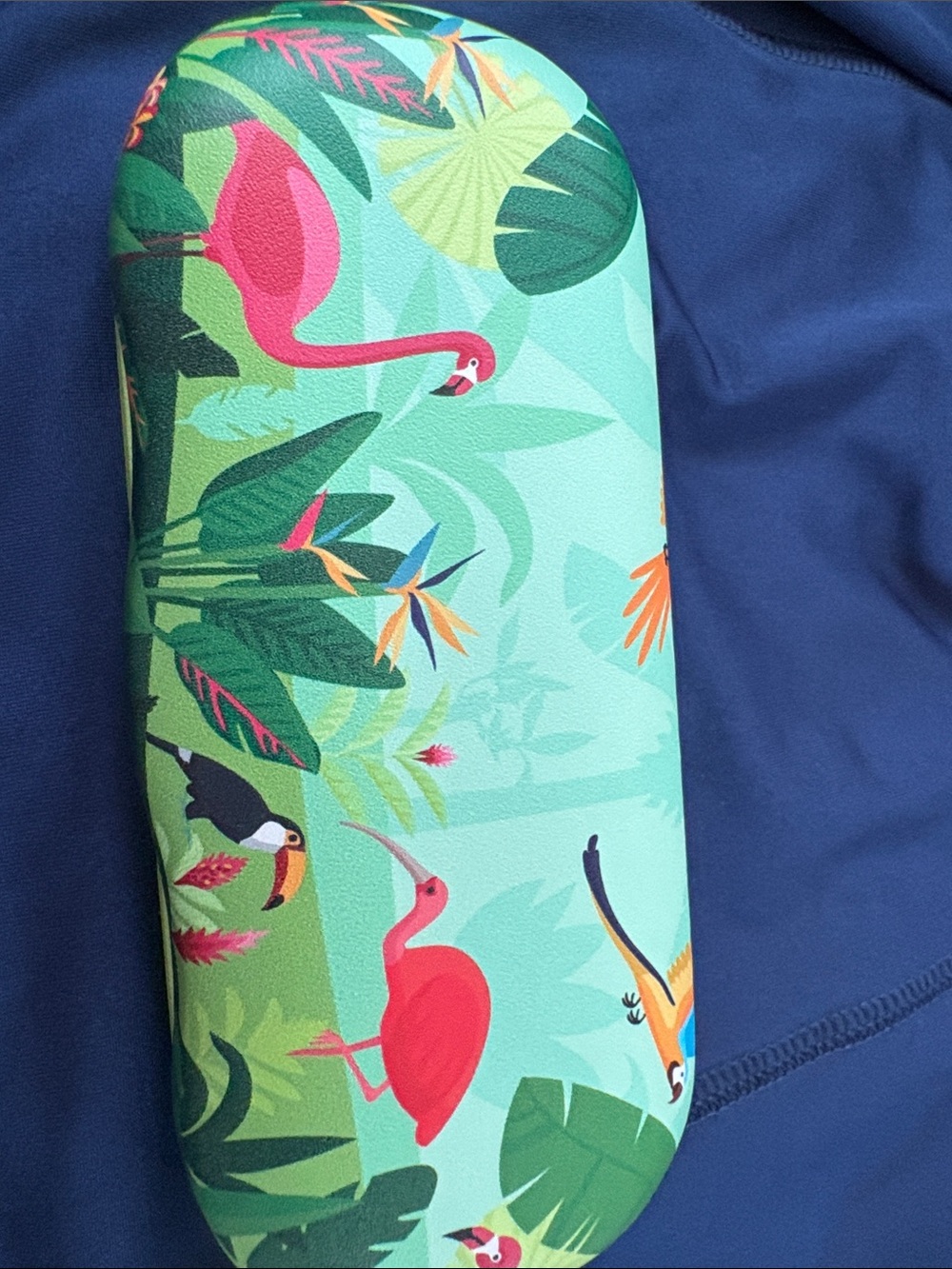 Eyeglass Case Tropical Flamingo Hard Eyeglass Case - Mint Green with Pink NWT - Picture 4 of 4